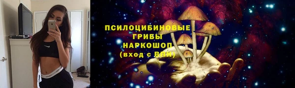 MESCALINE Лабытнанги