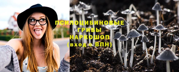 MESCALINE Лабытнанги