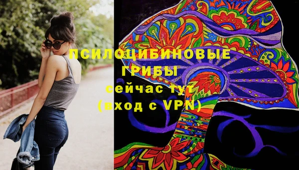 MESCALINE Лабытнанги