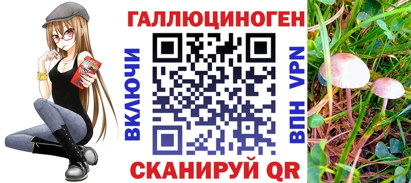 Галлюциногенные грибы Magic Shrooms  Купить где  Сарапул 